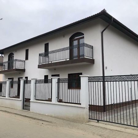 Holiday Luxury Villa With Private Garden Şelimbăr Exteriör bild