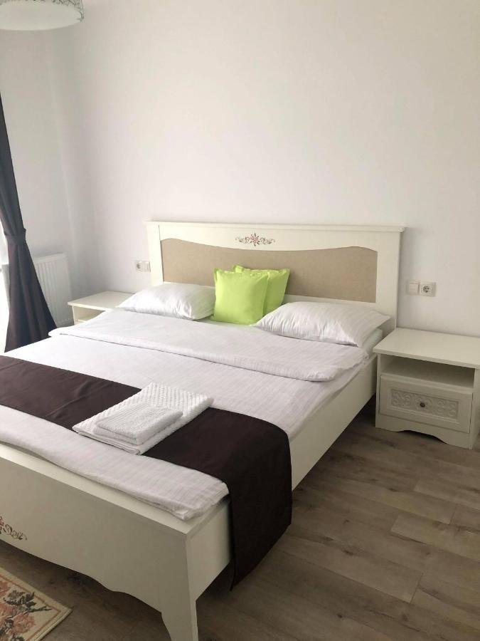 Holiday Luxury Villa With Private Garden Şelimbăr Exteriör bild