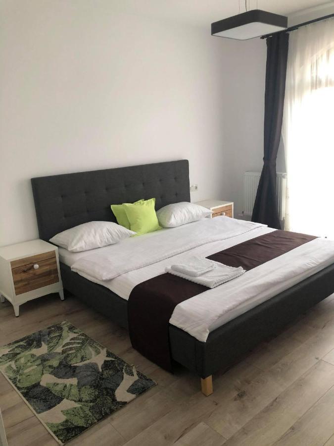 Holiday Luxury Villa With Private Garden Şelimbăr Exteriör bild