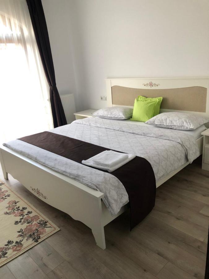Holiday Luxury Villa With Private Garden Şelimbăr Exteriör bild